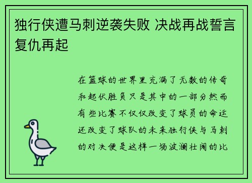 独行侠遭马刺逆袭失败 决战再战誓言复仇再起 独行侠遭马刺逆袭失败 决战再战誓言复仇再起