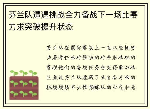 芬兰队遭遇挑战全力备战下一场比赛力求突破提升状态